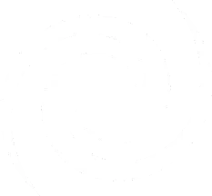 spin icon