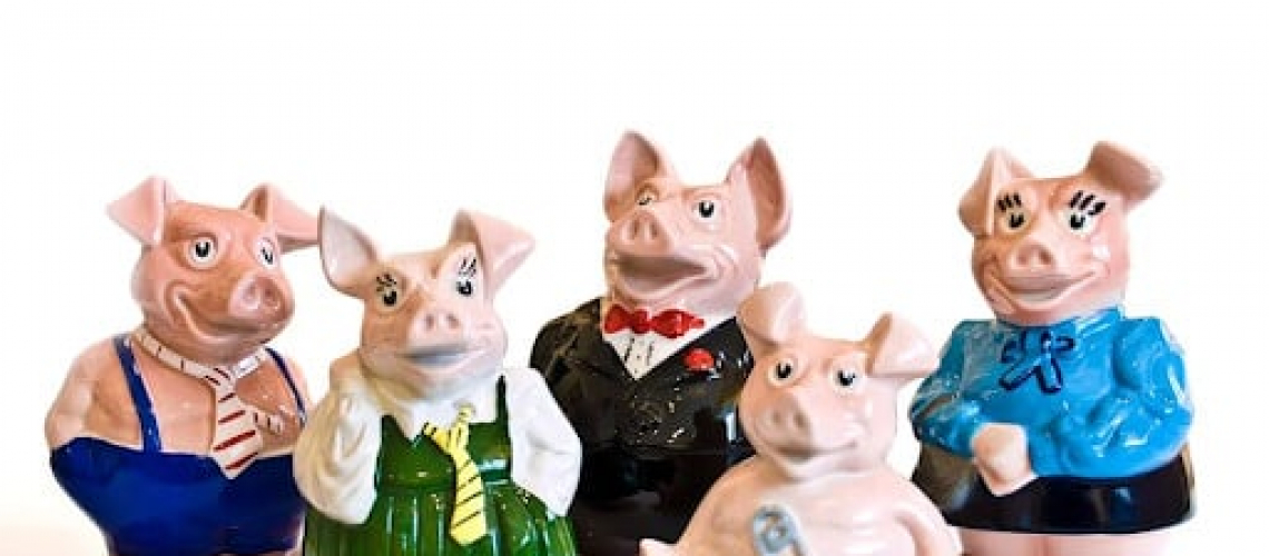 Run, Piggies, Run! - Mini Pig Races for the Win